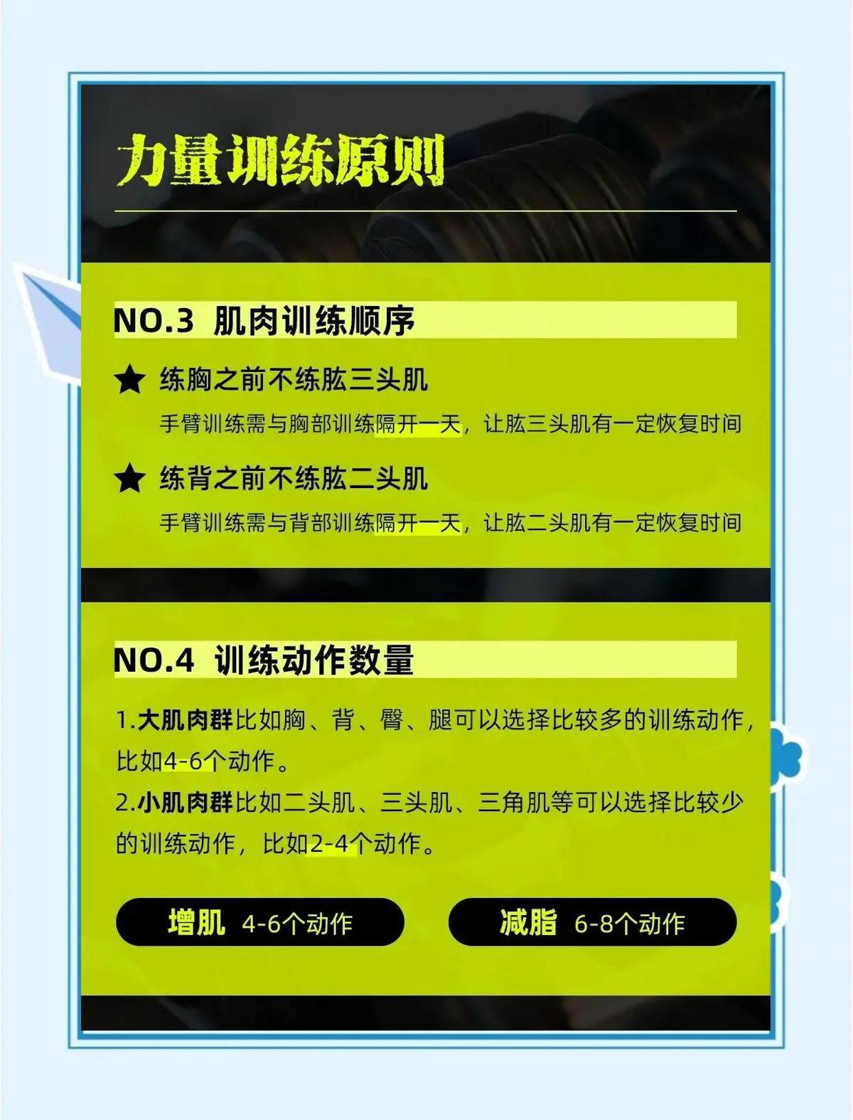 哪里有适合初学者的篮球训练管理指南_1